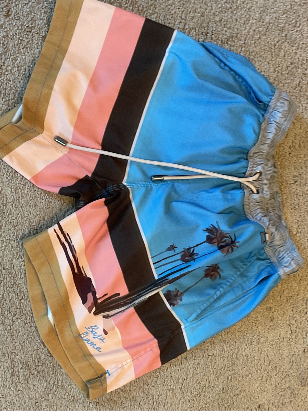 Baja llama Men's Blue & Pink Striped Swim Trunks with Palm Graphic
Size small